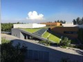 中央财经大学的校区在哪里