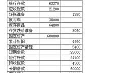 5年资产负债表