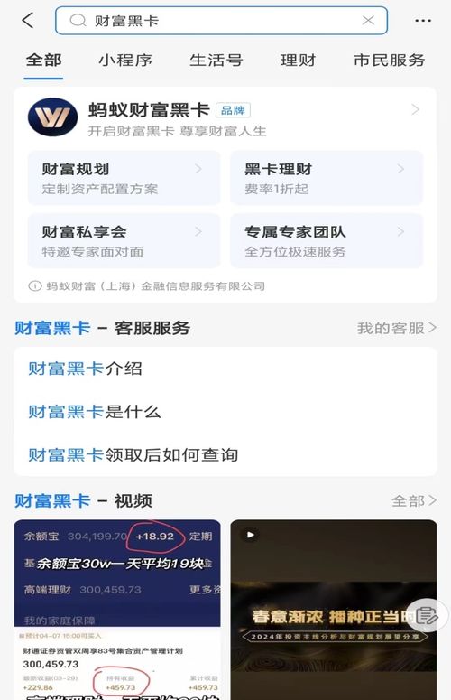 支付宝 理财 黑卡