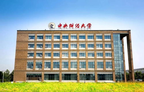 央财公共管理类专业