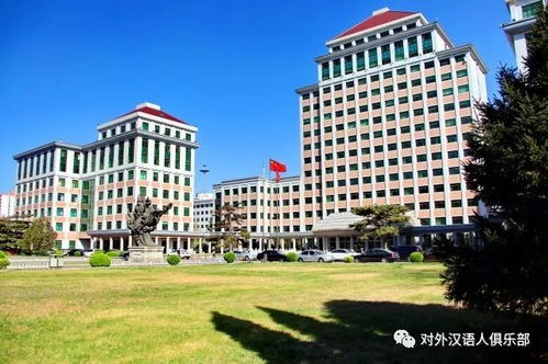内蒙古财经大学汉语言文学怎么样啊